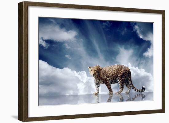 Predator Stay On The Sky Background-yuran-78-Framed Photographic Print