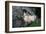 Predjama Castle Slovenia-null-Framed Art Print