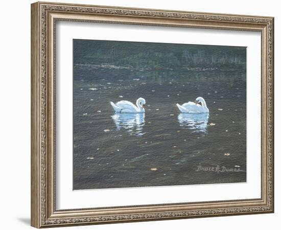 Preening Swans-Bruce Dumas-Framed Giclee Print