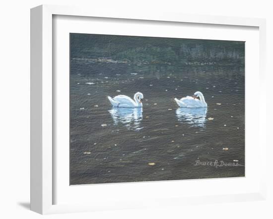 Preening Swans-Bruce Dumas-Framed Giclee Print