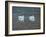 Preening Swans-Bruce Dumas-Framed Giclee Print