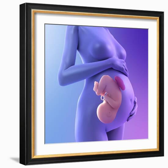 Pregnancy, Conceptual Artwork-SCIEPRO-Framed Premium Photographic Print