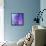 Pregnancy, Conceptual Artwork-SCIEPRO-Framed Premier Image Canvas displayed on a wall