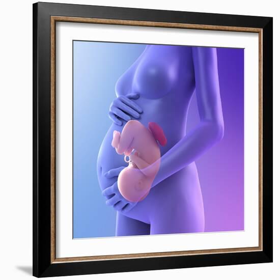 Pregnancy, Conceptual Artwork-SCIEPRO-Framed Premium Photographic Print