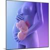 Pregnancy, Conceptual Artwork-SCIEPRO-Mounted Premium Photographic Print