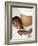 Pregnant Woman And Son-Ian Boddy-Framed Photographic Print