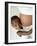 Pregnant Woman And Son-Ian Boddy-Framed Photographic Print