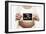 Pregnant Woman Holding Her Baby Scan-Ian Boddy-Framed Photographic Print