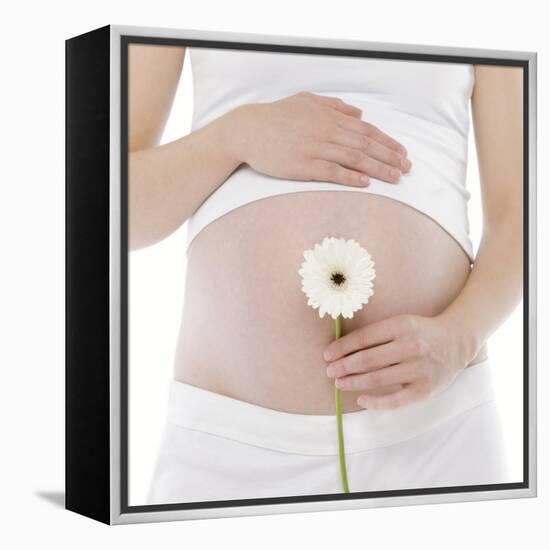 Pregnant Woman's Abdomen-Science Photo Library-Framed Premier Image Canvas