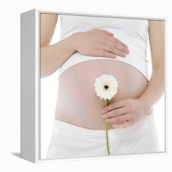 Pregnant Woman's Abdomen-Science Photo Library-Framed Premier Image Canvas