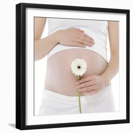 Pregnant Woman's Abdomen-Science Photo Library-Framed Premium Photographic Print