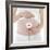 Pregnant Woman's Abdomen-Science Photo Library-Framed Premium Photographic Print