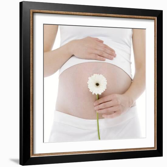 Pregnant Woman's Abdomen-Science Photo Library-Framed Premium Photographic Print