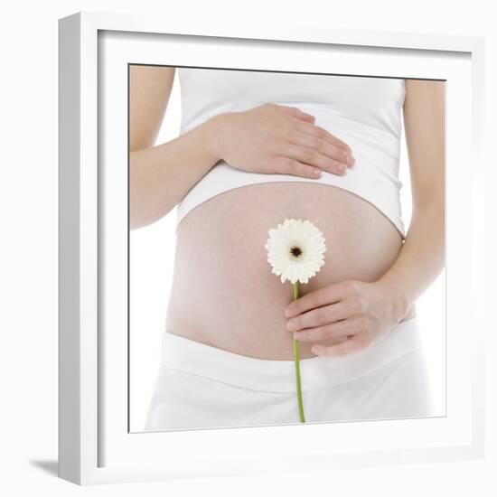 Pregnant Woman's Abdomen-Science Photo Library-Framed Premium Photographic Print