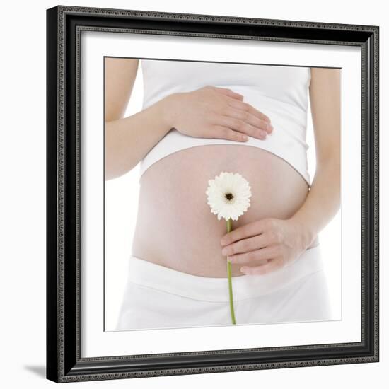 Pregnant Woman's Abdomen-Science Photo Library-Framed Premium Photographic Print