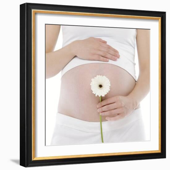 Pregnant Woman's Abdomen-Science Photo Library-Framed Premium Photographic Print