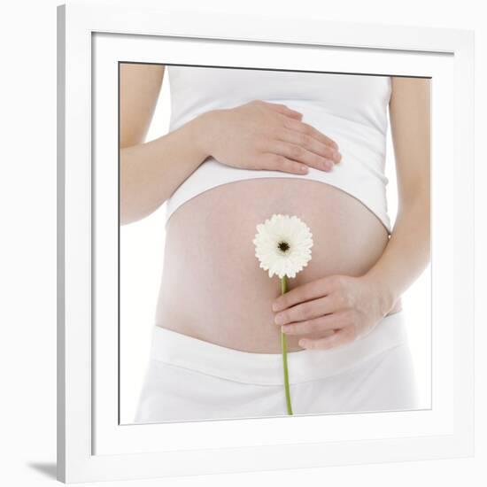 Pregnant Woman's Abdomen-Science Photo Library-Framed Photographic Print