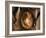 Pregnant Woman-null-Framed Photographic Print