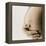 Pregnant Woman-Cristina-Framed Premier Image Canvas