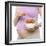 Pregnant Woman-Science Photo Library-Framed Premium Photographic Print