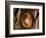 Pregnant Woman-null-Framed Photographic Print