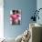 Pregnant Women-Ian Boddy-Photographic Print displayed on a wall