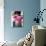 Pregnant Women-Ian Boddy-Photographic Print displayed on a wall