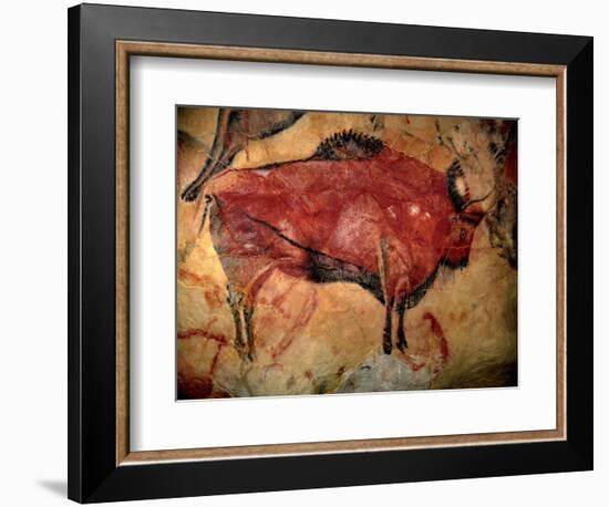 Prehistoire, Art Du Paleolithique Superieur : Un Bison Ou Auroch, Peinture Parietale Dans La Grotte-Prehistoric Prehistoric-Framed Giclee Print