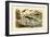 Prehistoric Animals, 1833-39-null-Framed Giclee Print