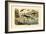 Prehistoric Animals, 1833-39-null-Framed Giclee Print