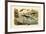 Prehistoric Animals, 1833-39-null-Framed Giclee Print