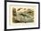 Prehistoric Animals, 1833-39-null-Framed Giclee Print