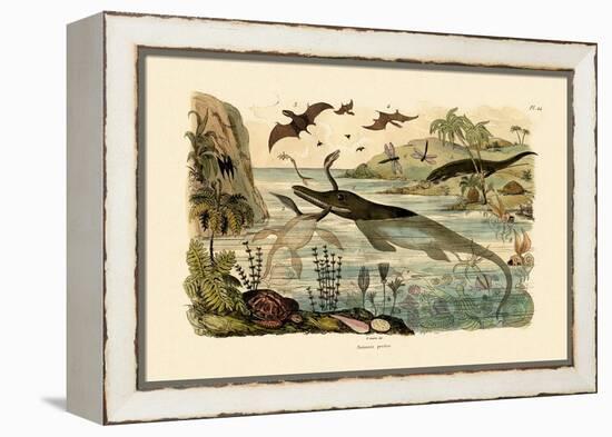 Prehistoric Animals, 1833-39-null-Framed Premier Image Canvas