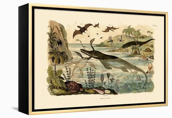 Prehistoric Animals, 1833-39-null-Framed Premier Image Canvas