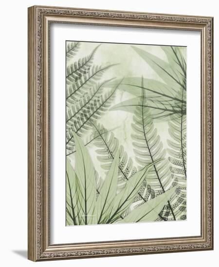 Prehistoric Awakening-Albert Koetsier-Framed Photo