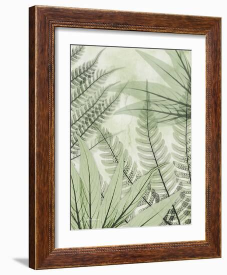 Prehistoric Awakening-Albert Koetsier-Framed Photo