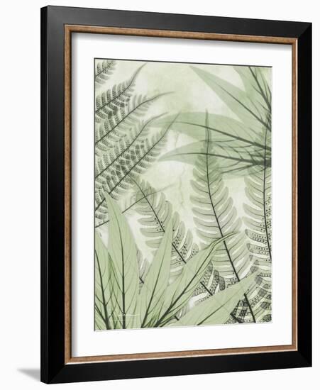 Prehistoric Awakening-Albert Koetsier-Framed Photo