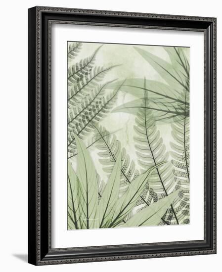 Prehistoric Awakening-Albert Koetsier-Framed Photo