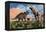 Prehistoric Battle Between a Triceratops and Tyrannosaurus Rex-null-Framed Stretched Canvas