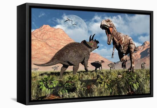 Prehistoric Battle Between a Triceratops and Tyrannosaurus Rex-null-Framed Stretched Canvas