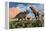 Prehistoric Battle Between a Triceratops and Tyrannosaurus Rex-null-Framed Stretched Canvas