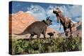 Stretched Canvas Print
