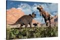 Stretched Canvas Print