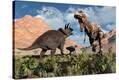 Stretched Canvas Print