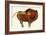 Prehistoric Cave Painting of a Bull, Altamira, Spain-null-Framed Giclee Print
