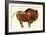 Prehistoric Cave Painting of a Bull, Altamira, Spain-null-Framed Giclee Print