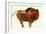 Prehistoric Cave Painting of a Bull, Altamira, Spain-null-Framed Giclee Print