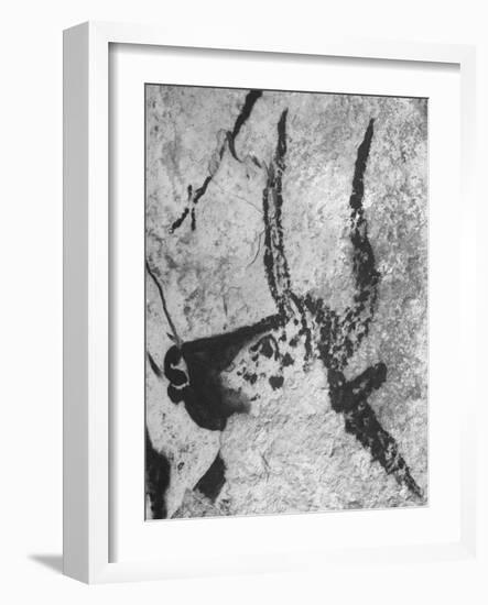 Prehistoric Cave Painting of an Animal-Ralph Morse-Framed Photographic Print