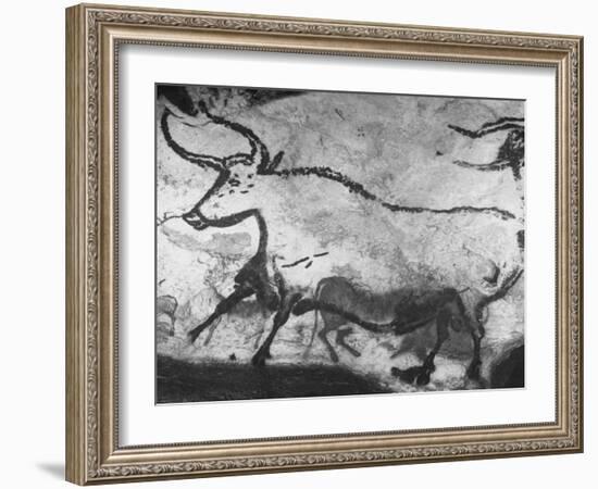 Prehistoric Cave Painting of an Animal-Ralph Morse-Framed Photographic Print