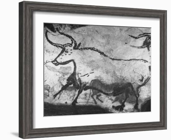 Prehistoric Cave Painting of an Animal-Ralph Morse-Framed Photographic Print